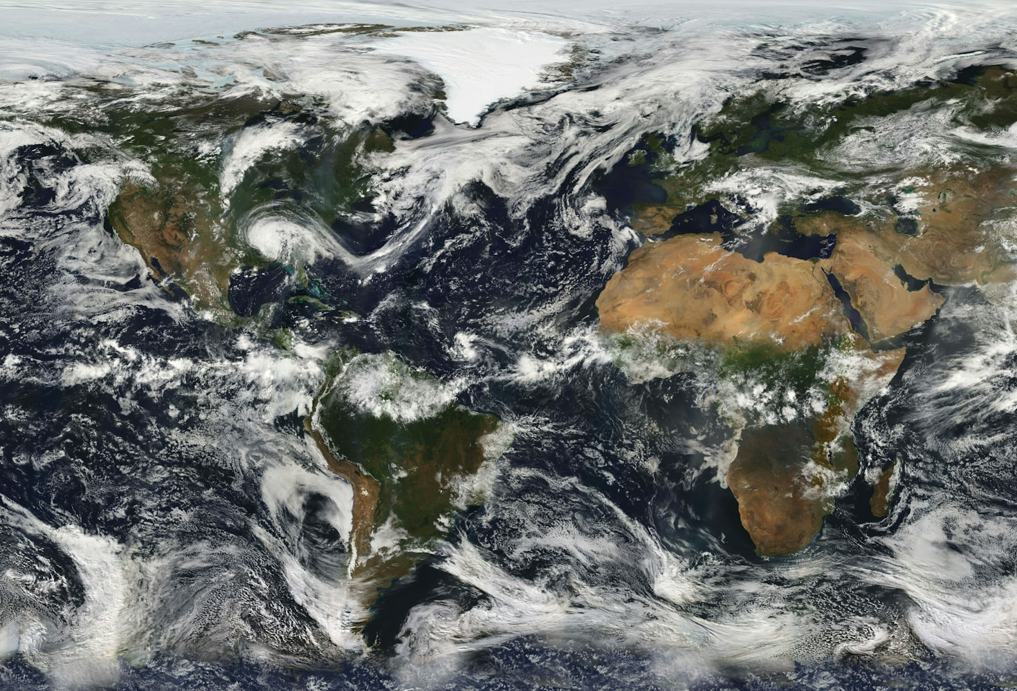 A Traveler’s Guide to Global Diversity